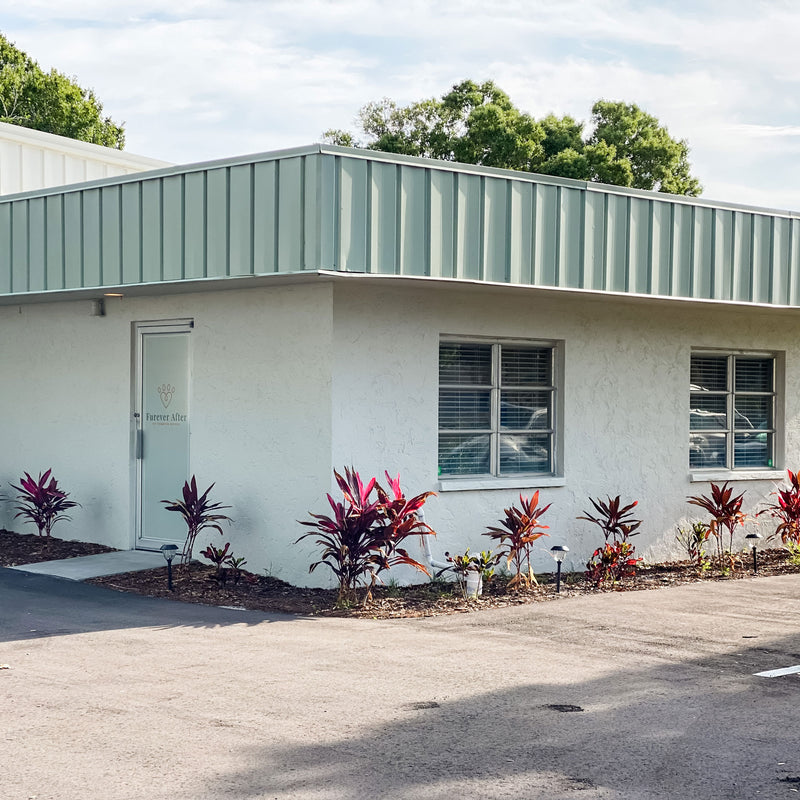 pet cremation hillsborough. pet cremation manatee. pet cremation pinellas. pet cremation sarasota. sarasota pet crematory. cenetral florida pet cremation. central florida pet crematory. Bradenton, fl pet crematory. 24 hour pet crematory florida.